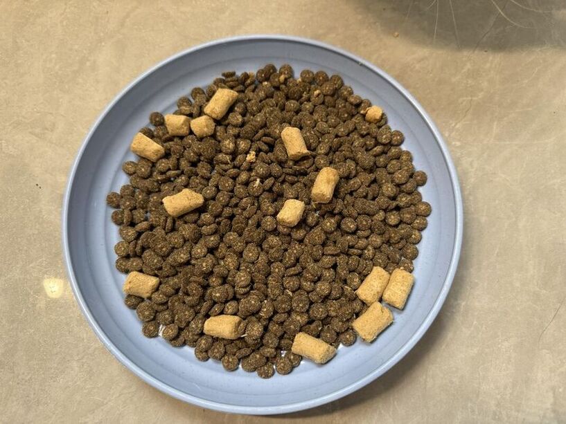 宠物猫粮犬粮出